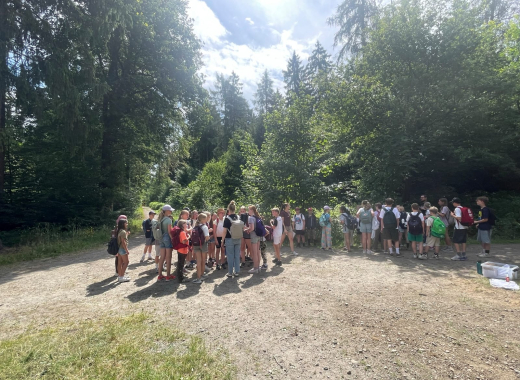 Waldspiele 2026 – ein Tag voller Abenteuer, Teamgeist und Naturerlebnisse